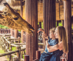 Happy,mother,and,son,watching,and,feeding,giraffe,in,zoo.